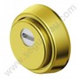 ESCUDO PROTECTOR DISEC MAGNETICO MRM 29E-25D1R DORADO