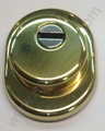 Escudo protector de cilindro Segurclau Antitubo dorado